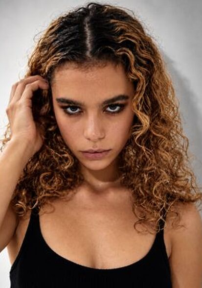 Lu V., Biba Model Management
