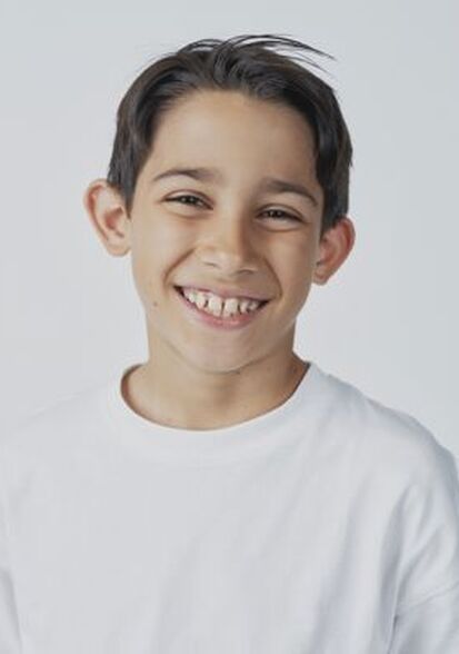 Eliano N., Biba Model Management