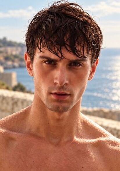 Rene  N., Biba Model Management
